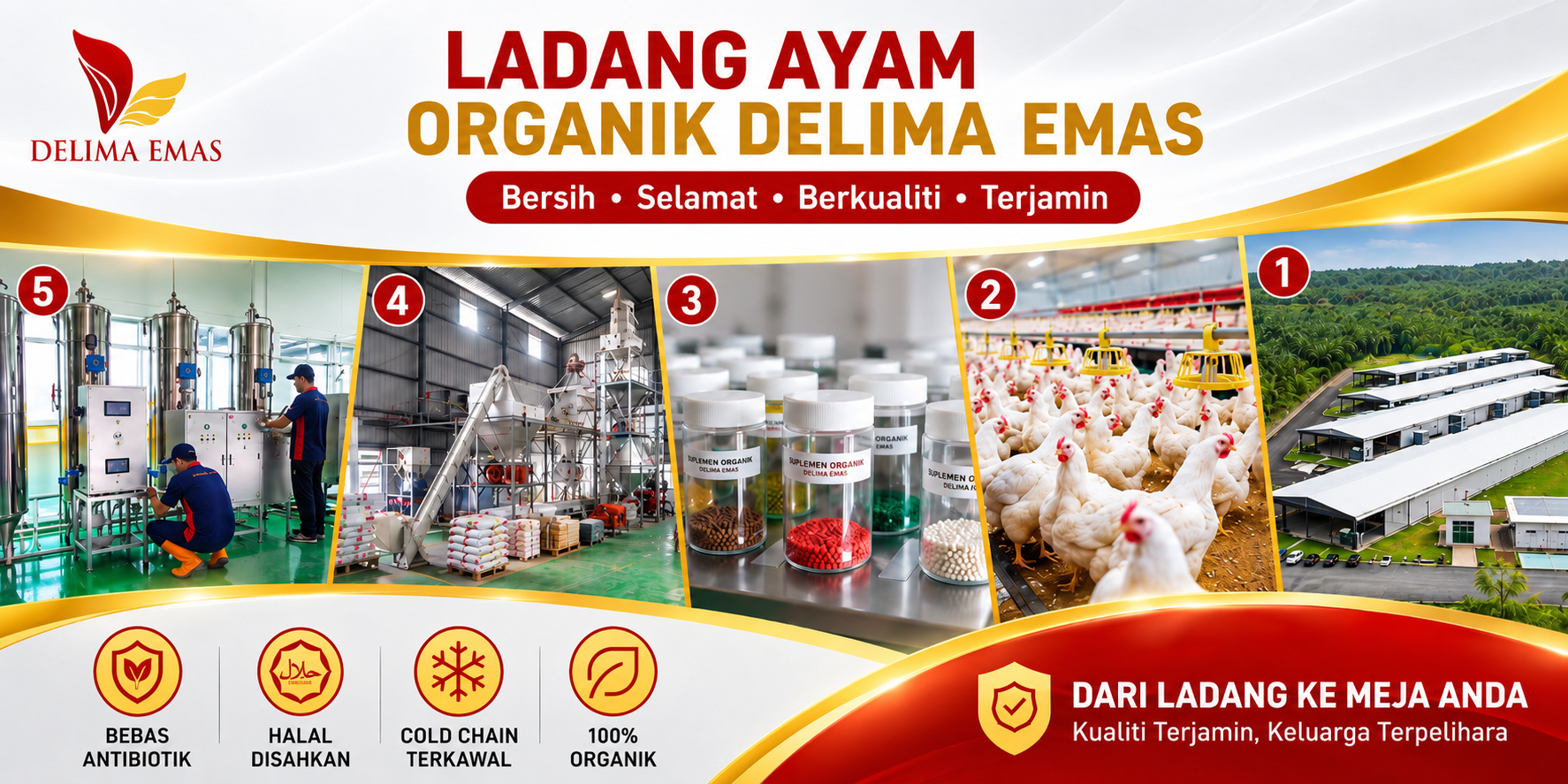 Ladang Ayam Organik Delima Emas – Farm to Table Penternakan Terkawal