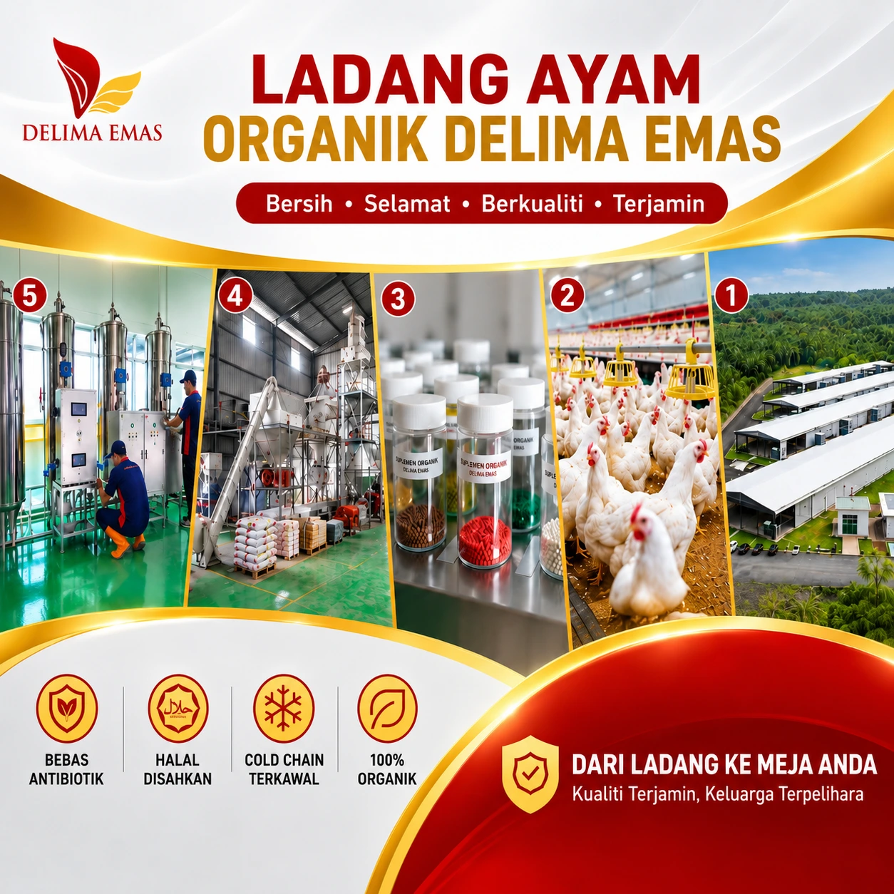 Ladang Ayam Organik Delima Emas